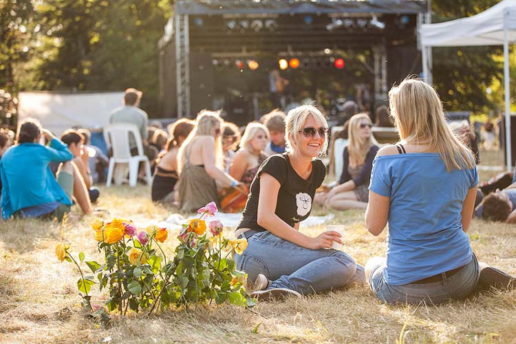 Das Programm des Freifeld Festivals 2014 steht.