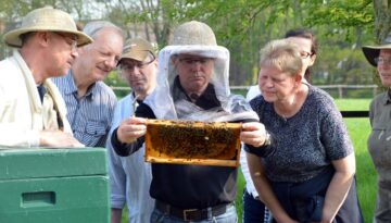 imkerverein-oldenburg-bienen