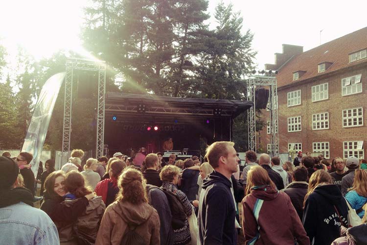 Peter Paasch spielt den Waldemar-Song auf dem Freifeld Festival in Oldenburg.