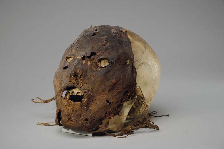 Der Begleitband zur gleichnamigen Sonderausstellung des Landesmuseums Natur und Mensch Eigen und fremd in Glaubenswelten ist erschienen.