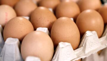 eier