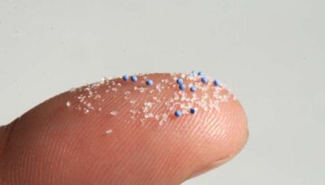 mikroplastik