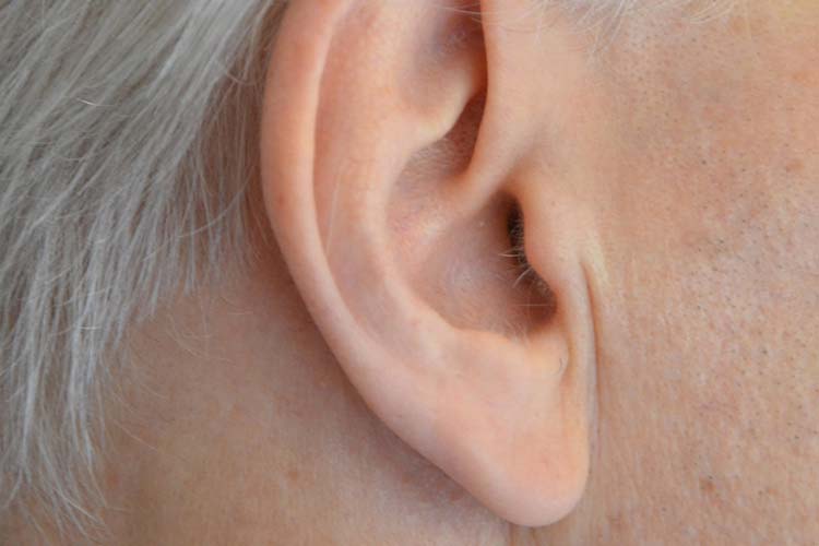 Das menschliche Ohr erzeugt okoakustische Emissionen, die denen von Vögeln und Echsen ähneln.
