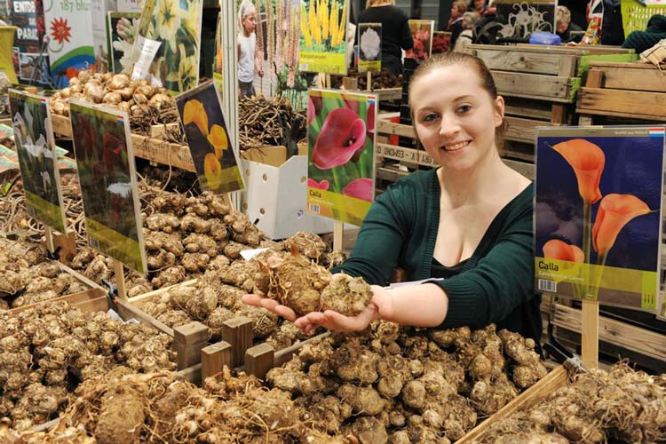 70 Aussteller präsentieren während der Gartentage an ihren Verkaufsständen alles rund um den Garten.