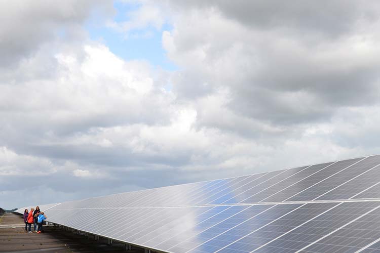 Die Schüler der Grundschule Achternmeer und die Masterstudentin Sarah Hoffmeister begaben sich auf die spielerische Erkundungstour im Oldenburger Solarpark, der heute als Energiestandort im Energieparcours-Nordwest ausgezeichnet wurde.