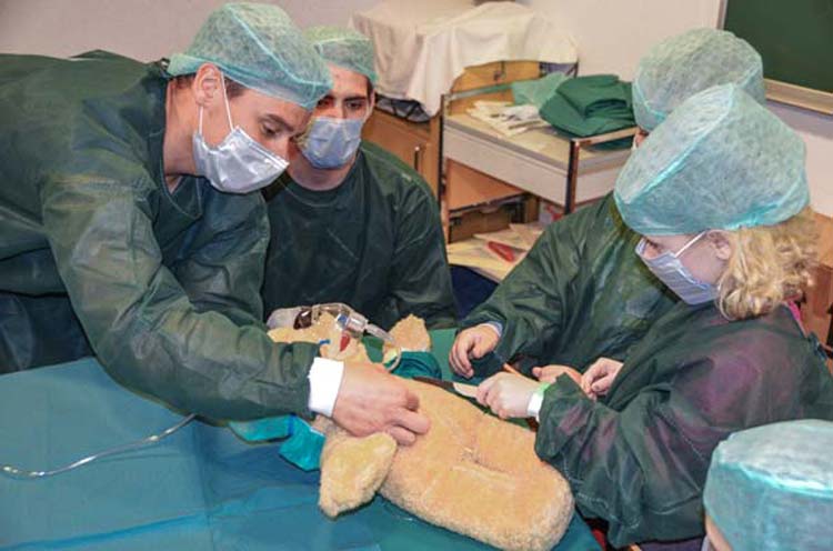 Der Teddy Benny hat Bauchschmerzen und für die Kinder des Elternselbsthilfekindergartens ist klar, er muss im Teddybärkrankenhaus des Klinikums Oldenburg behandelt werden.