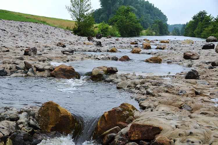 Im Rahmen der Errichtung der Wendestelle in Oldenburg-Drielake wurde vom Wasser- und Schifffahrtsamt (WSA) Bremen als Kompensationsmaßnahme eine Fischaufstiegsanlage im Hochwasserentlastungskanal in Tungeln erstellt.