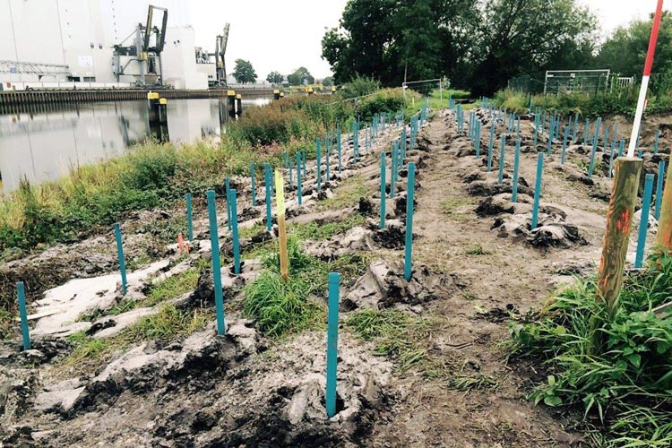 Das zukünftige Baugelände für das neue Wendebecken in Oldenburg wird zurzeit auf Kampfmittel aus dem II. Weltkrieg untersucht.