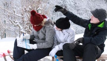 nabu-stunde-der-wintervoegel