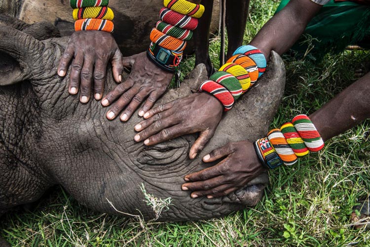 World Press Photo Ami Vitale