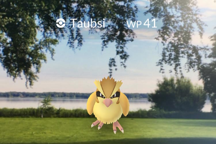 Zur Lichternacht am kommenden Samstag werden für Pokémon-Go Spieler Lockstoffe an den sogenannten Poké-Stops im Bad Zwischenahner Kurpark freigesetzt.