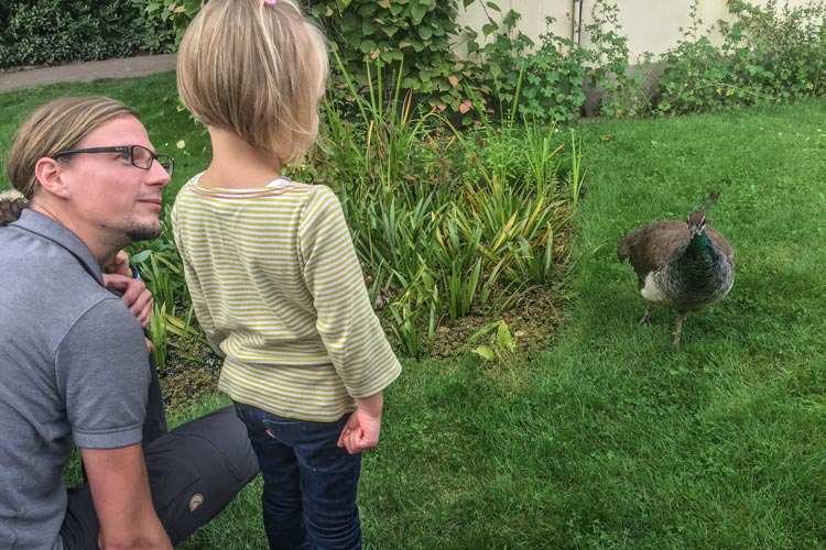 „Hautnahe“ tierische Erlebnise für Kindern und Erwachsenen waren gestern inklusive. Foto: Anja Michaeli Hautnahe tierische Erlebnise für Kindern und Erwachsenen waren gestern inklusive.
