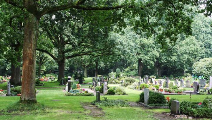 parkfriedhof-oldenburg