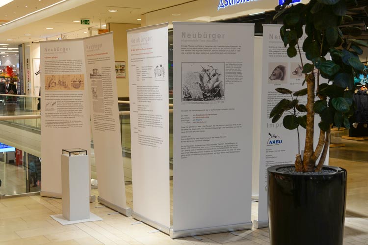 Die Ausstellung ist bis zum 21. Januar im Obergeschoss der Schlosshöfe zu sehen. Foto: Anja Michaeli Neubürger heißt eine Ausstellung des NABU über einst exotische Tiere, die in den Oldenburger Schlosshöfen zu sehen ist.