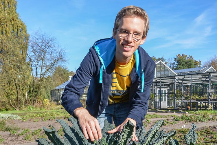Rund 50 Kohlsorten hat Christoph Hahn im Botanischen Garten für seine Grünkohlforschung gepflanzt.