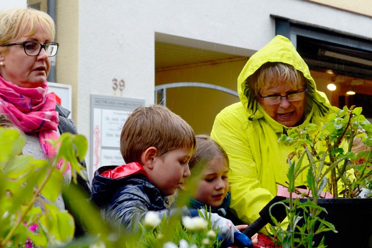 Die Oldenburger Stadtgärten stehen unter dem Motto Flower Power und wurde durch das 50-jährige Jubiläum der Fußgängerzone inspiriert.