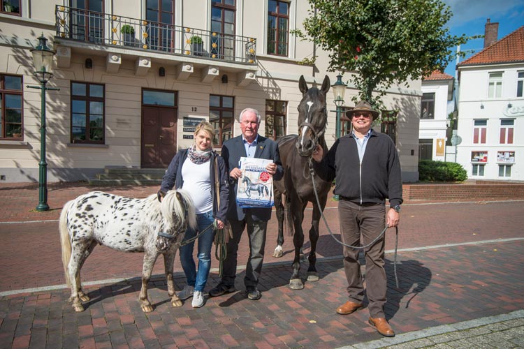 Yvonne Wienekamp, Helmut Fokkena und Andreas Hunger stellen das Programm des Oldenburger Pferdemarktes 2017 vor.