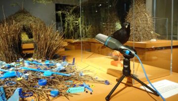 poetry-slam-im-landesmuseum