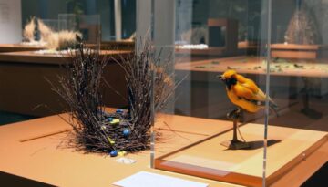 landesmuseum-familientag