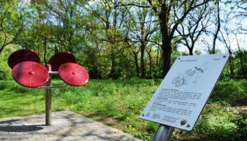 ofenerdiek-swarte-moor-see