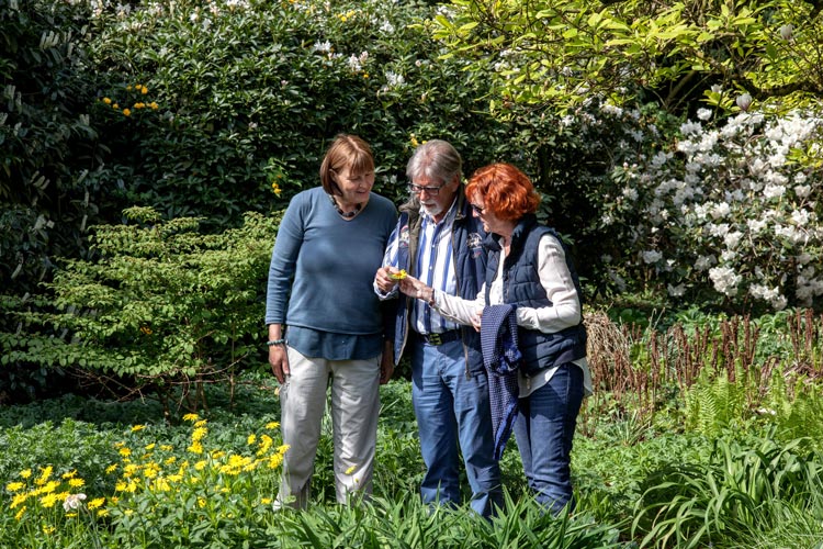 Auch in diesem Jahr laden im Ammerland Gartenbesitzer wieder alle Interessierten ein, sich ein Eindruck von ihren besonderen Orten im Grünen zu machen.