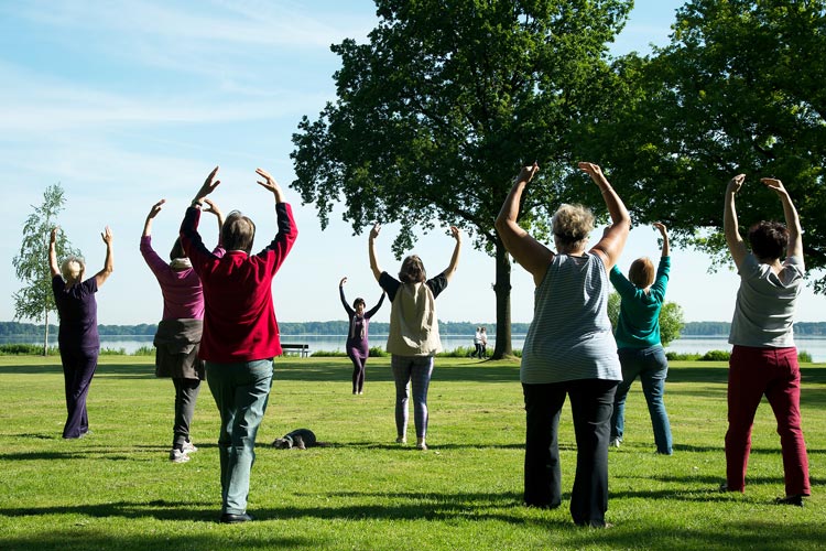 Qigong-Übungen für Anfänger und Fortgeschrittene – umsonst und draußen – werden im Kurpark in Bad Zwischenahn angeboten