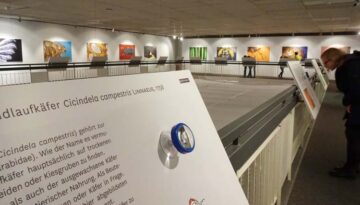 nacht-der-museen-oldenburg
