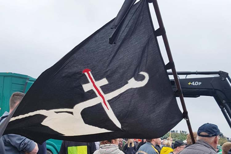 Schwarze Fahnen mit weißem Pflug und rotem Schwert führten während der Agrardemo in Oldenburg zu Irritationen.