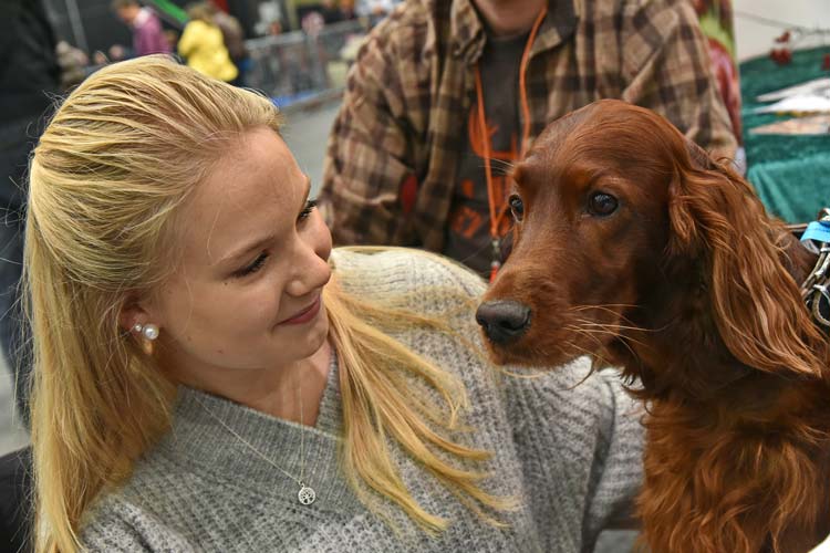 In der Hundewelt präsentieren zahlreiche Vereine ihre Rassen.