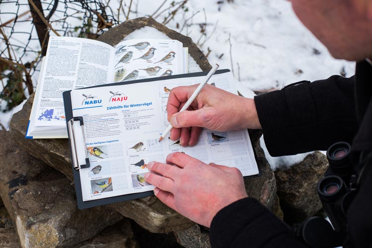 Im Rahmen der deutschlandweiten Mitmachaktion „Stunde der Wintervögel“ wurden wieder Vögel gezählt.