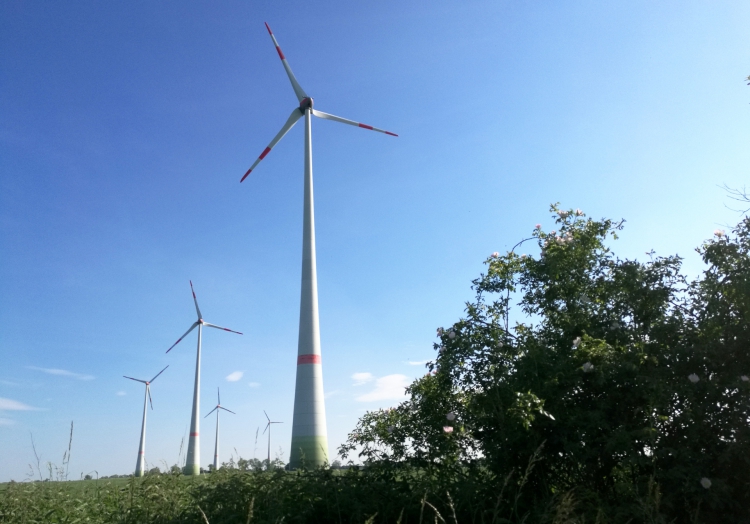 Windräder bei Tantow in Brandenburg, über dts Nachrichtenagentur