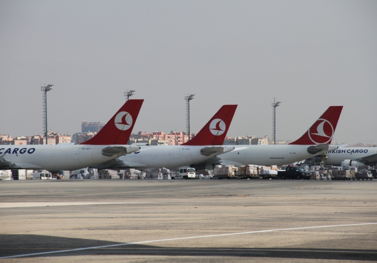 Flugzeuge der Turkish Airlines, über dts Nachrichtenagentur