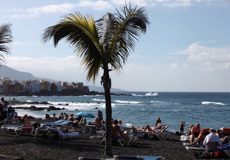Palme an einem Strand auf den Kanaren, über dts Nachrichtenagentur