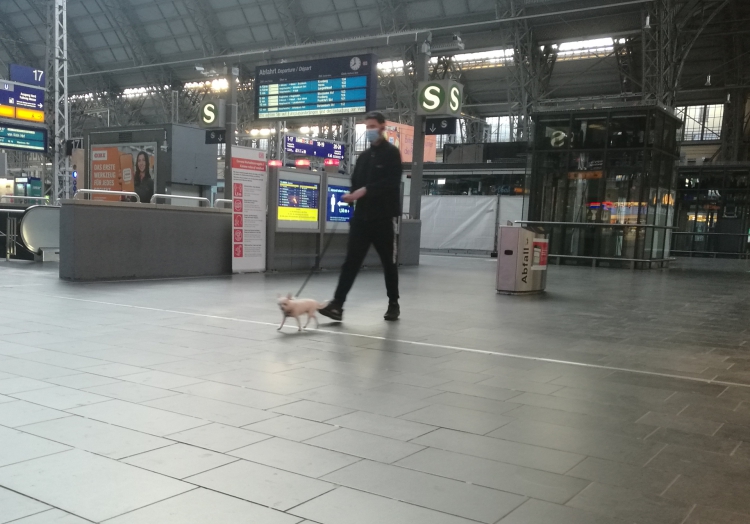 Mann mit Hund im Frankfurter Hauptbahnhof, über dts Nachrichtenagentur