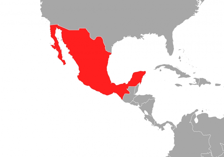 Mexiko, über dts Nachrichtenagentur