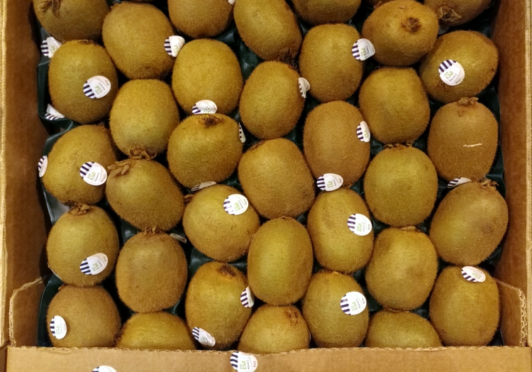 Kiwi, über dts Nachrichtenagentur