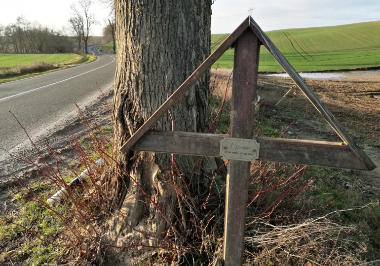 Unfallkreuz an Straßenrand, über dts Nachrichtenagentur