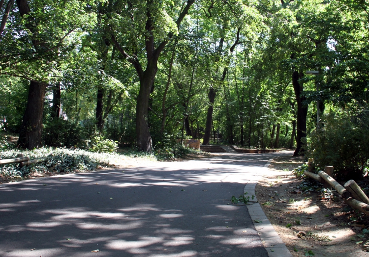 Stadtpark, über dts Nachrichtenagentur