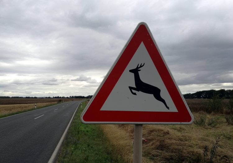 Warnschild vor Wildwechsel, über dts Nachrichtenagentur