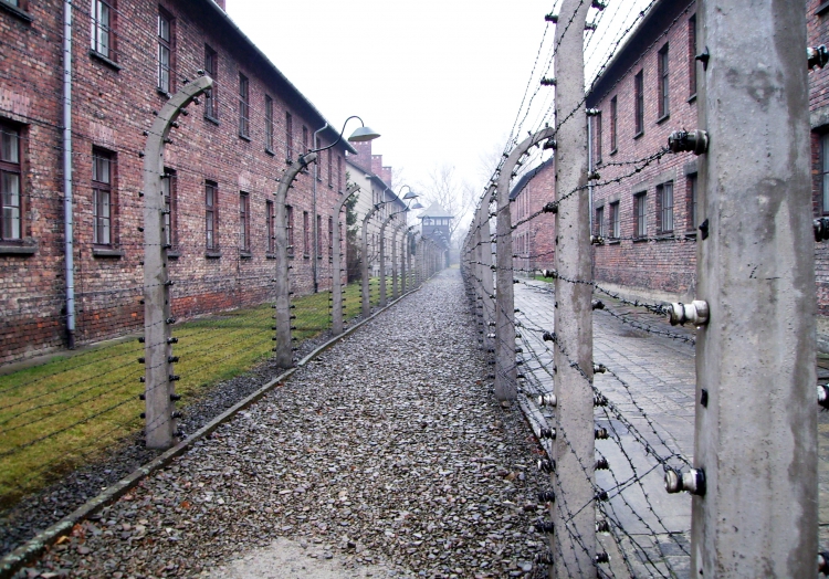 Konzentrationslager, über dts Nachrichtenagentur