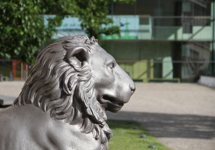 Universität Halle, über dts Nachrichtenagentur