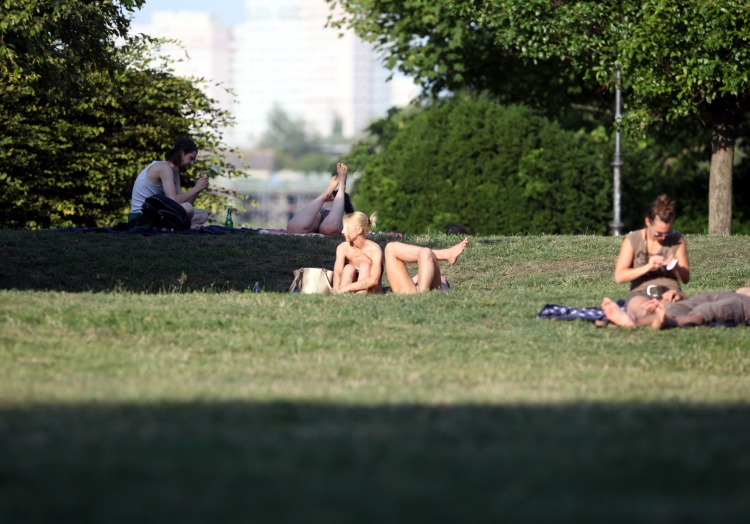 Sonnenbaden auf einer Wiese, über dts Nachrichtenagentur
