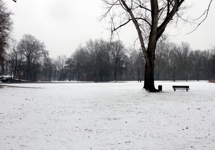 Winterlandschaft, über dts Nachrichtenagentur