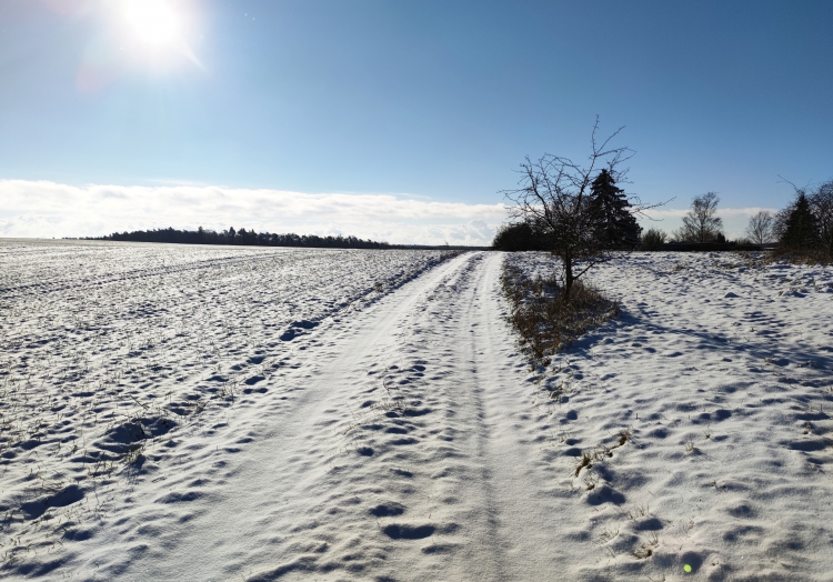 Die Ruhe vor dem Sturm: Schnee im Norden Brandenburgs, über dts Nachrichtenagentur