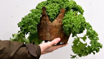 gruenkohl