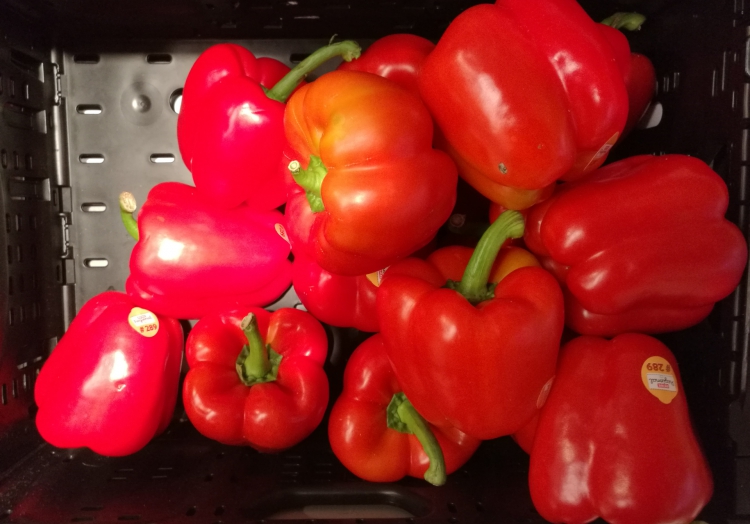 Paprika, über dts Nachrichtenagentur