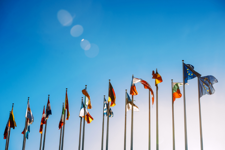 Die Simulation des Europäischen Parlaments in Oldenburg findet vom 13. bis 15. Juli zum dritten Mal statt.
