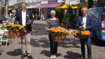 rosenInnenstadt