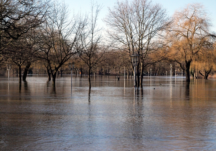 Hochwasser, über dts Nachrichtenagentur