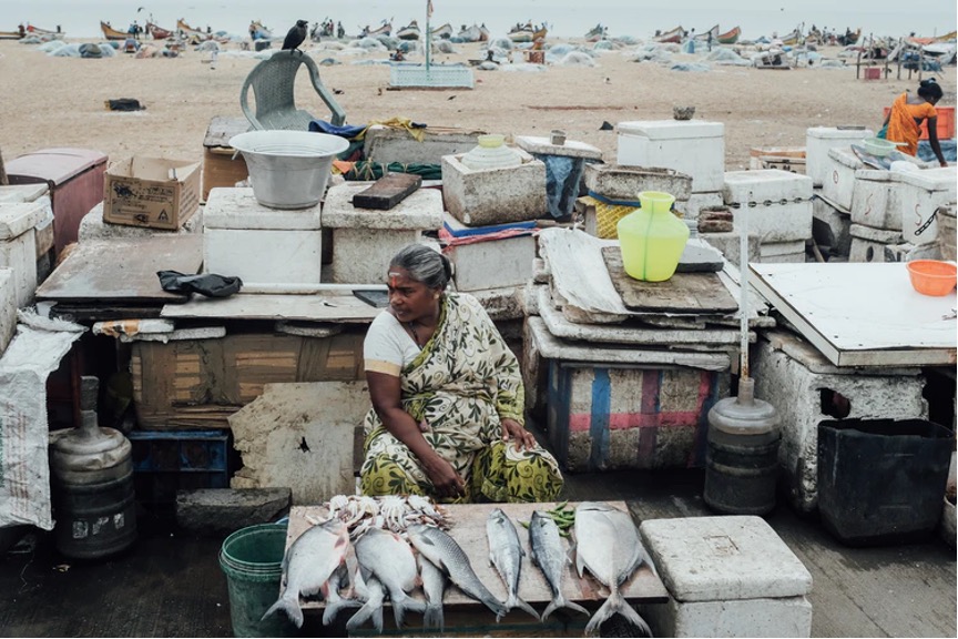 Verkauf von Fisch in der Stadt Chennai.